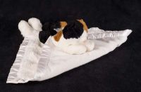 My Banky Caileigh the Calico Cat from Crazy Mountain Plush